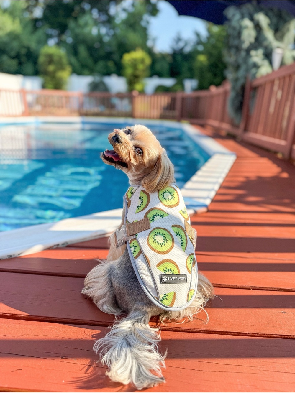 NWT Spark Paws Kiwi Dog Cooling Vest